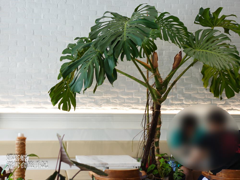 午葉內湖店_森林系早午餐餐廳_酪梨早午餐