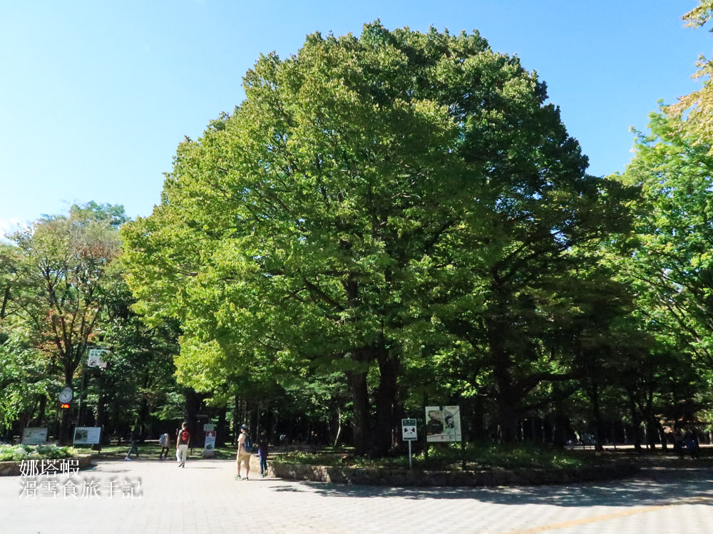 札幌景點推薦-北海道神宮&神宮茶屋、六花亭限定甜點,限量的松鼠御神籤 - 第1張圖 札幌景點︱北海道神宮觀光指南&神宮茶屋、六花亭限定甜點