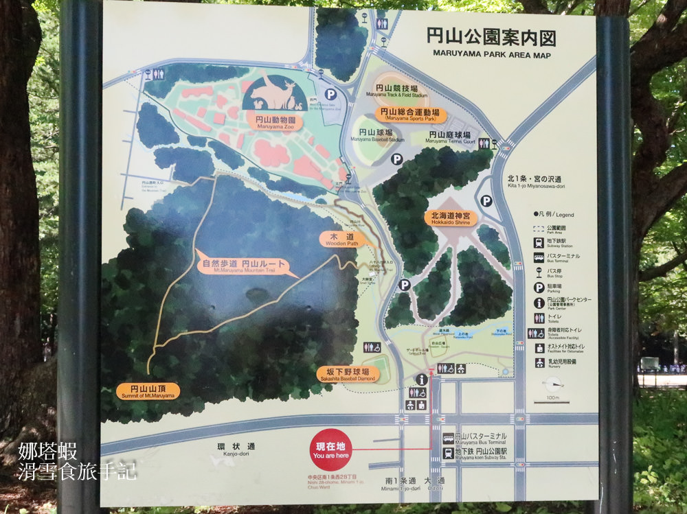 札幌景點推薦-北海道神宮&神宮茶屋、六花亭限定甜點,限量的松鼠御神籤 - 第2張圖 札幌景點︱北海道神宮觀光指南&神宮茶屋、六花亭限定甜點