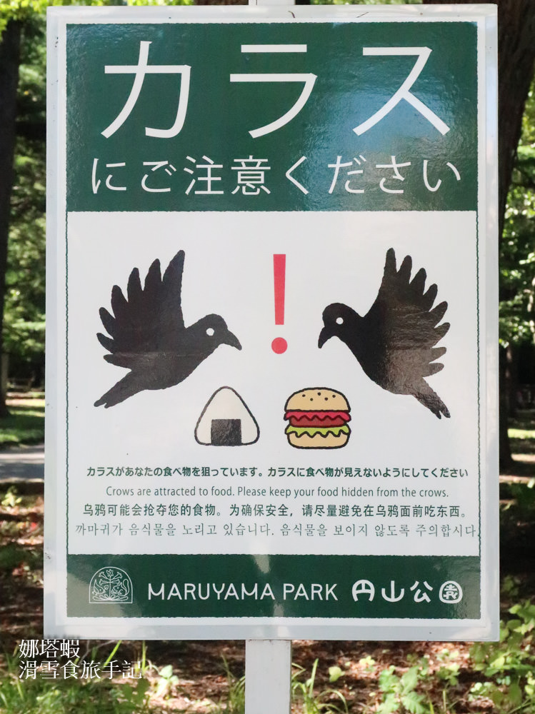 札幌景點推薦-北海道神宮&神宮茶屋、六花亭限定甜點,限量的松鼠御神籤 - 第4張圖 札幌景點︱北海道神宮觀光指南&神宮茶屋、六花亭限定甜點