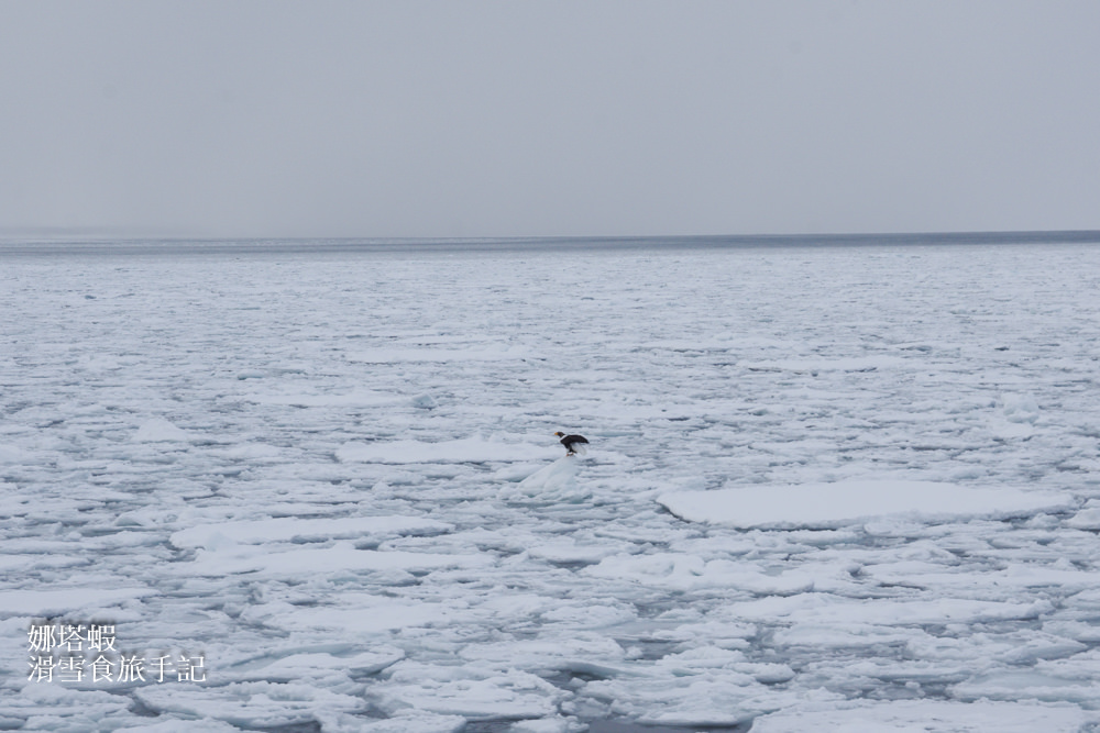走，我們追流冰去！北海道紋別破冰船搭乘心得