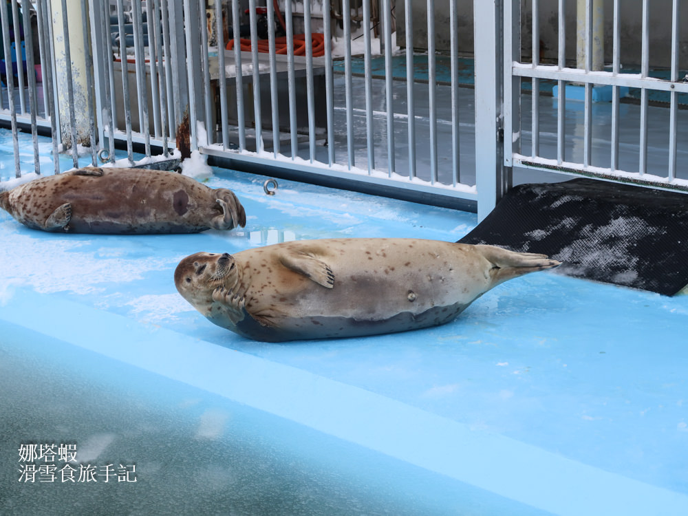 走，我們追流冰去！北海道紋別破冰船搭乘心得