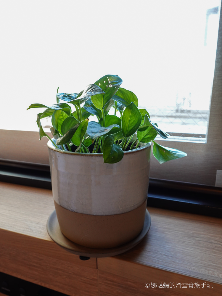 札幌大通公園住宿︱森林系飯店-札幌皇家花園CANVAS酒店大通公園店