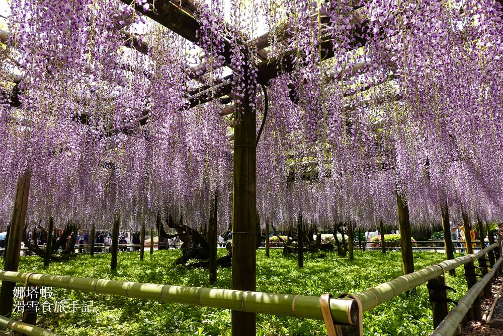 宇治抹茶一日遊攻略|必玩景點、必吃美食甜點、交通路線總整理︱平等院、宇治橋、中村藤吉、懷石料理 - 第6張圖 宇治一日遊︱平等院、宇治橋、宇治神社,必吃中村藤吉抹茶甜點、辰巳屋京懷石料理