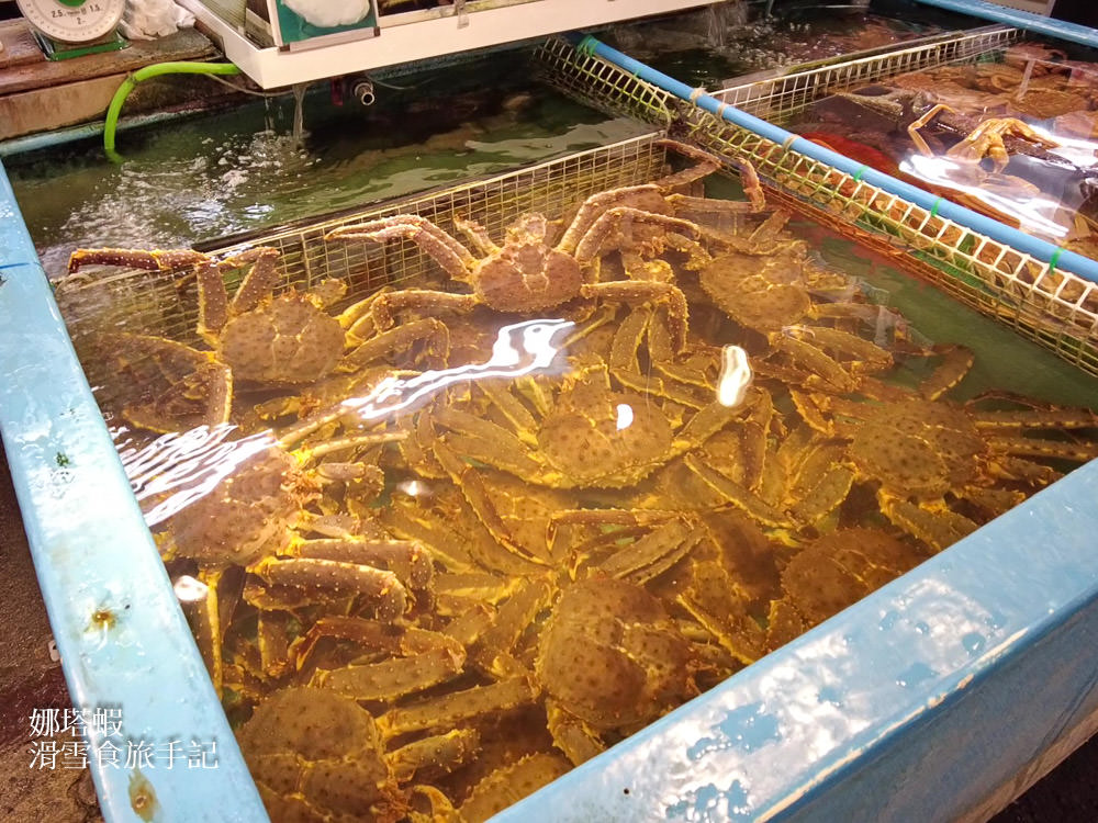 小樽三角市場&滝波食堂，大口吃海鮮丼、帝王蟹、海膽、鮭魚卵