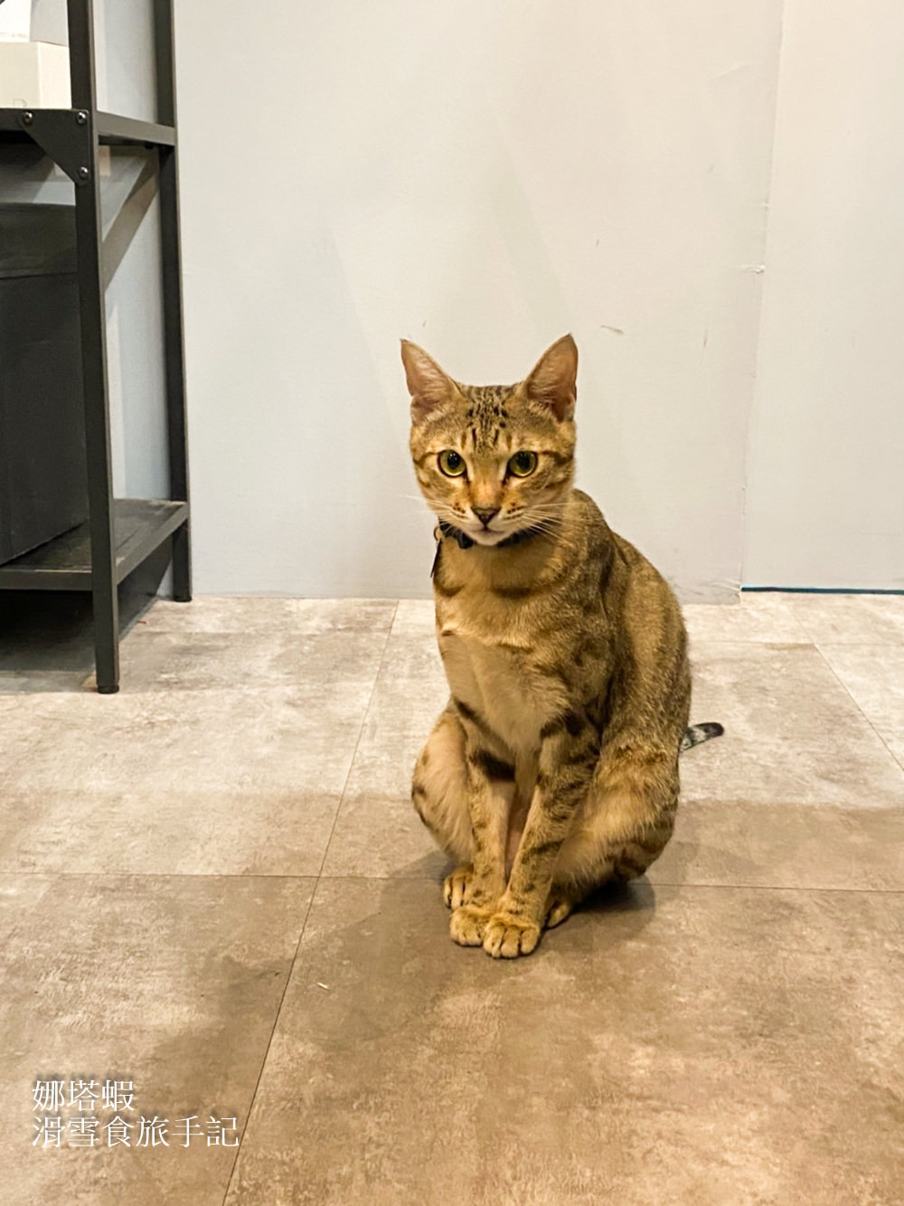 山海工作市_草莓蛋糕_草莓帕菲