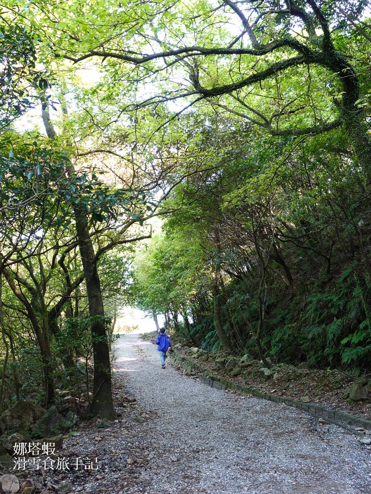 金瓜石地質公園︱北海岸無敵海景步道、本山礦場神秘石頭陣