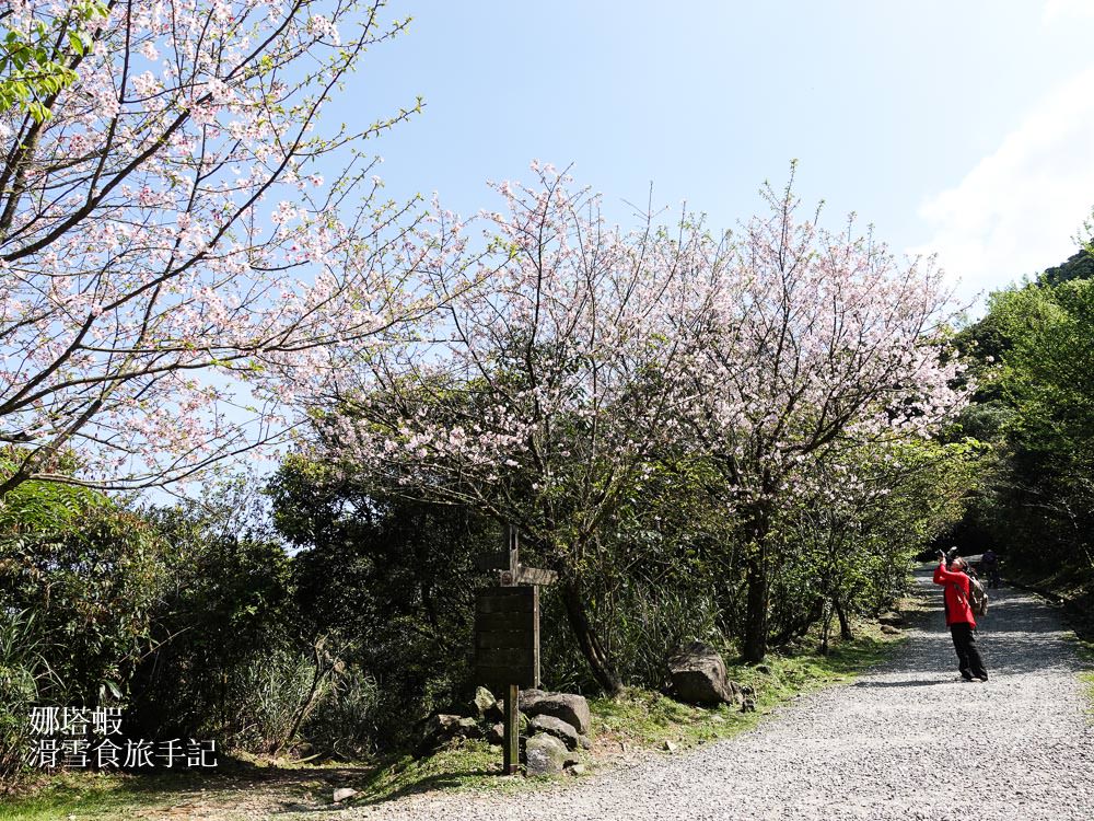 金瓜石地質公園︱北海岸無敵海景步道、本山礦場神秘石頭陣
