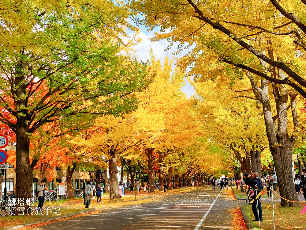 札幌景點懶人包_札幌市區11大必訪景點