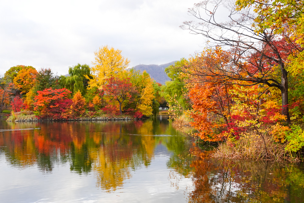 札幌景點懶人包_札幌市區11大必訪景點