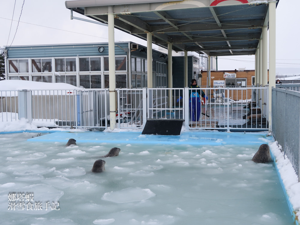 北海道紋別破冰船搭乘心得
