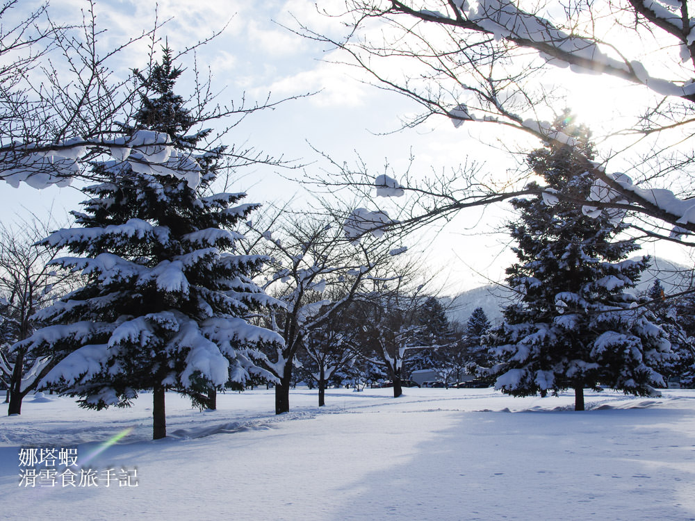 札幌住宿︱中島公園旁「札幌萊福特飯店」(Hotel Lifort Sapporo)