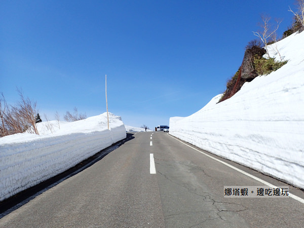 日本東北︱岩手縣．八幡平雪之迴廊，媲美立山黑部的高聳雪牆(有交通資訊)