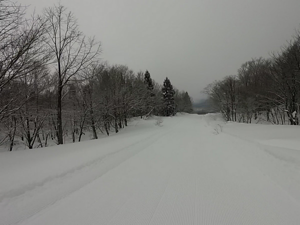 【日本田澤湖滑雪番外篇】Cat Tour搭乘壓雪車，挑戰秘境鬆雪滑道