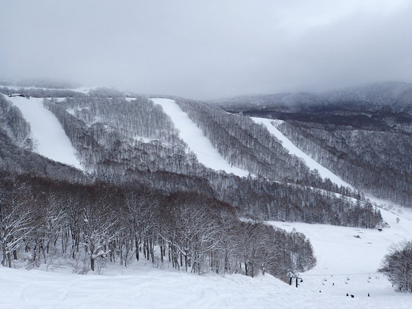 【日本滑雪．福島】紅黑線密布，不上ALTS磐梯滑雪場非高手