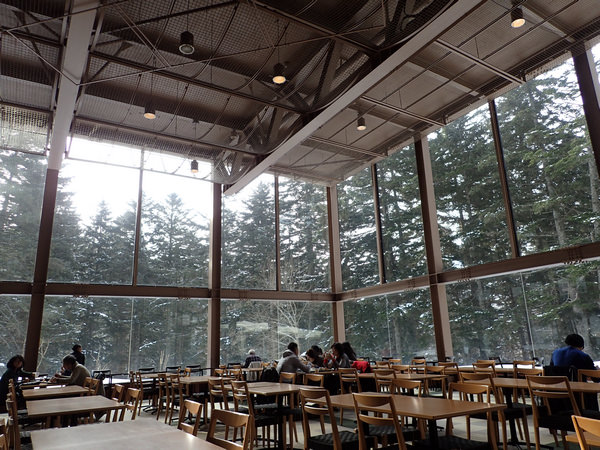Tomamu星野度假村—超夢幻的森林餐廳，遇見幸運的綠光！