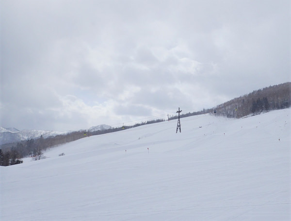 冬山解放！到Tomamu滑粉雪衝樹林！