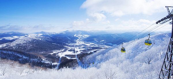 冬山解放！到Tomamu星野度假村滑粉雪衝樹林！