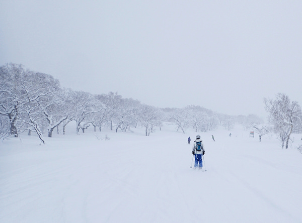 粉雪天堂二世谷之一:Grand Hirafu & HANAZONO