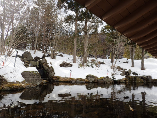 【日本東北住宿推薦】雫石王子飯店 融合自然設計的美感住所