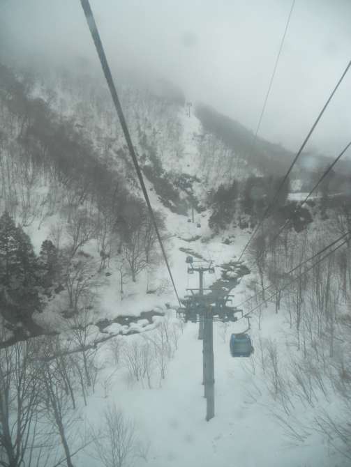 日本苗場滑雪記行之3：Dragondola龍纜車、田代雪場與和田小屋的咖哩飯