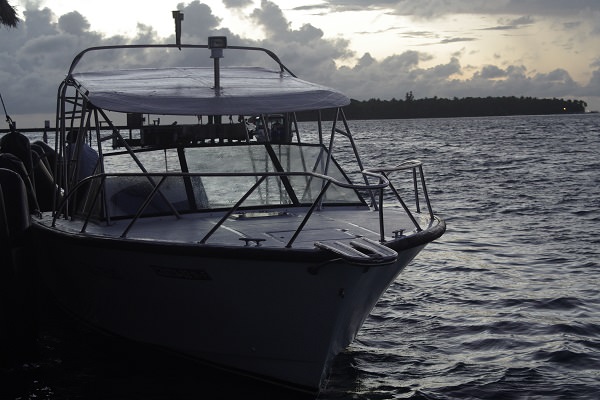 【馬爾地夫遊記】可可亞島Cocoa Island活動篇(上)：搭私人遊艇出海看海豚賞夕陽(Sunset Cruise)