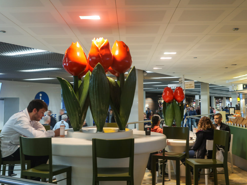 阿姆斯特丹機場轉機不無聊，6大新奇體驗，必吃必買必逛