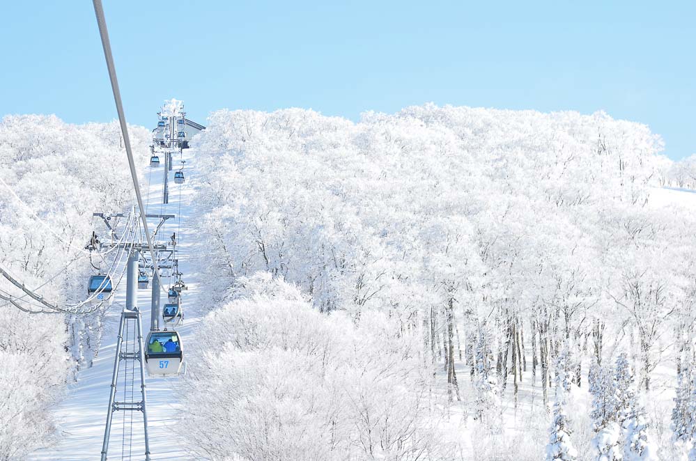 滑雪補助來囉！日本秋田縣滑雪教室，送免費中文滑雪課程