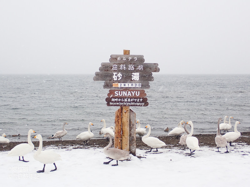 北海道冬天13天行程︱札幌玩到知床，破冰船、雪祭、滑雪玩雪大集合(2020)