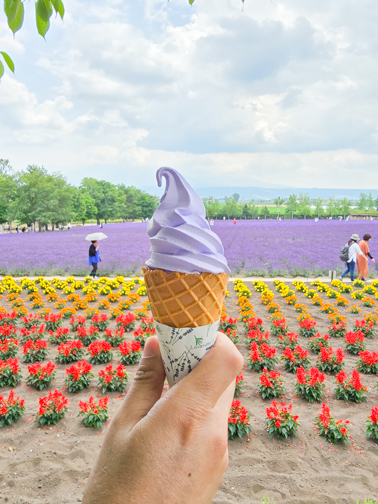 【富田農場2025完整攻略】北海道最夢幻薰衣草花田・交通方式&園區地圖&拍照點一次看 - 第24張圖 北海道富良野賞花必看_富田農場薰衣草紫色花海、必看花田整理_交通攻略
