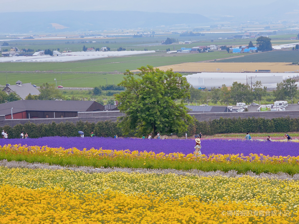 北海道富良野薰衣草&賞花5大景點整理_富田農場_日之出公園_北星山纜車_Flower Land_麓鄉展望台