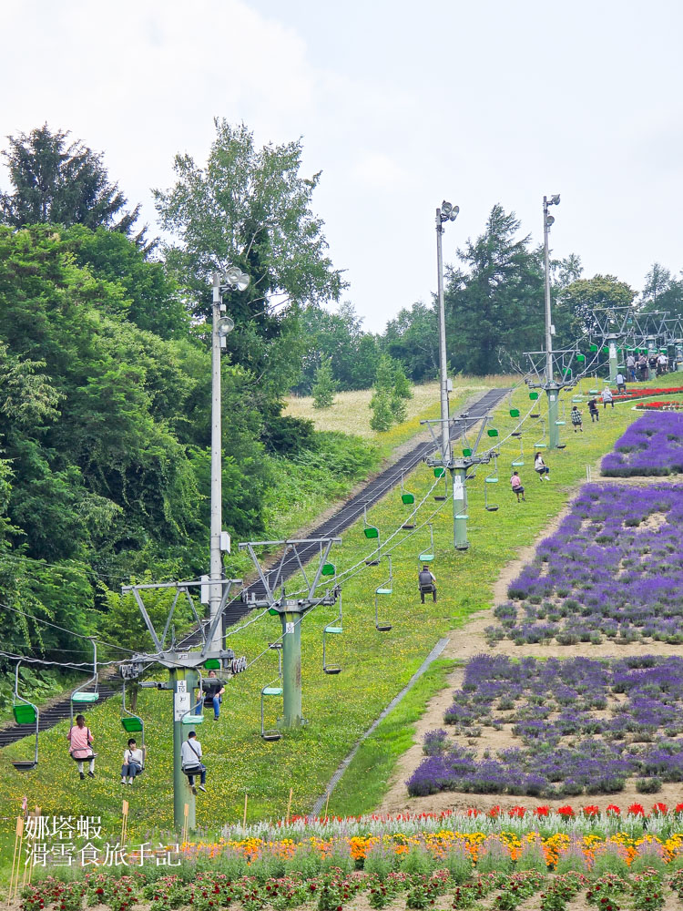 北海道富良野薰衣草&賞花5大景點整理_富田農場_日之出公園_北星山纜車_Flower Land_麓鄉展望台