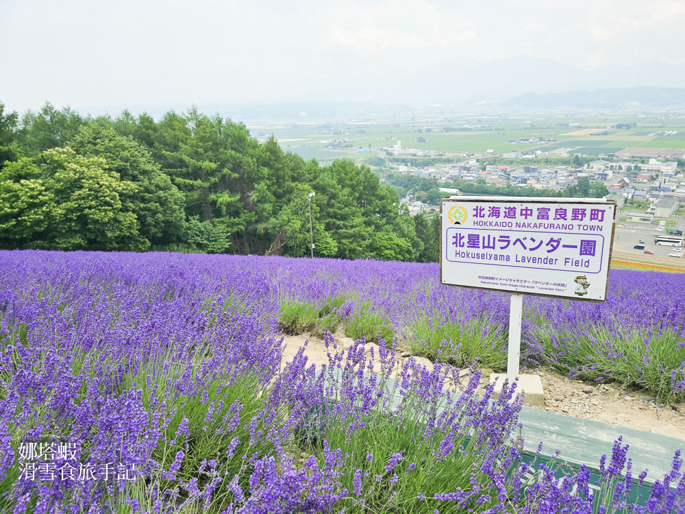 北海道富良野薰衣草&賞花5大景點整理_富田農場_日之出公園_北星山纜車_Flower Land_麓鄉展望台