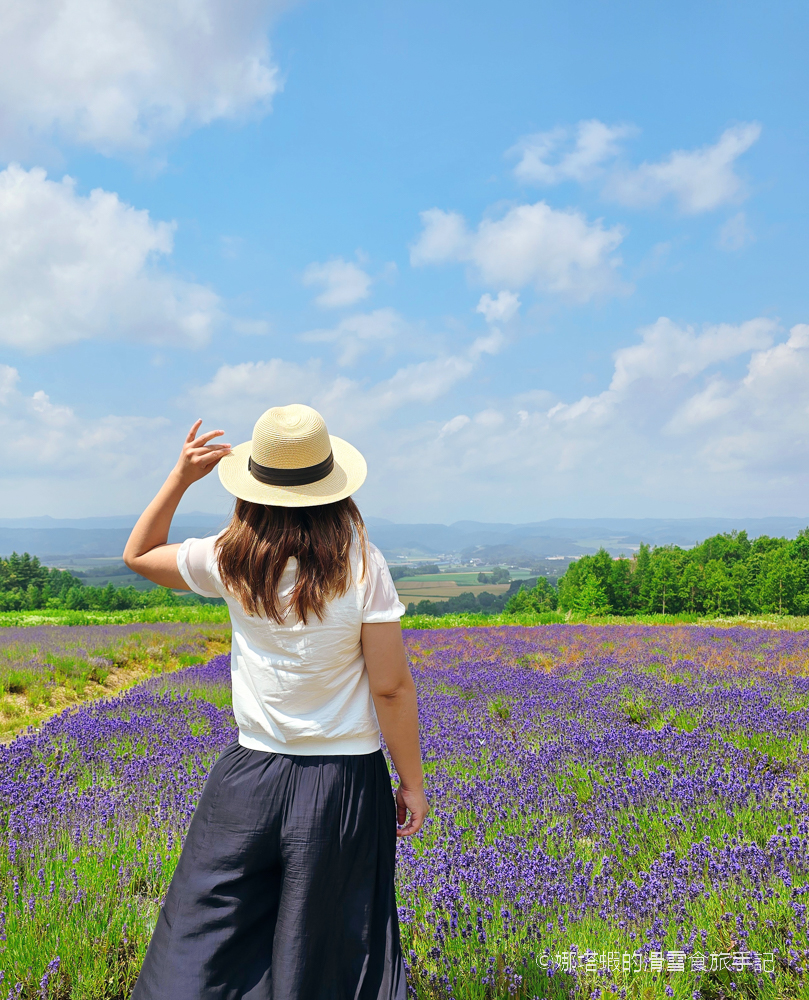 北海道富良野薰衣草&賞花5大景點整理_富田農場_日之出公園_北星山纜車_Flower Land_麓鄉展望台