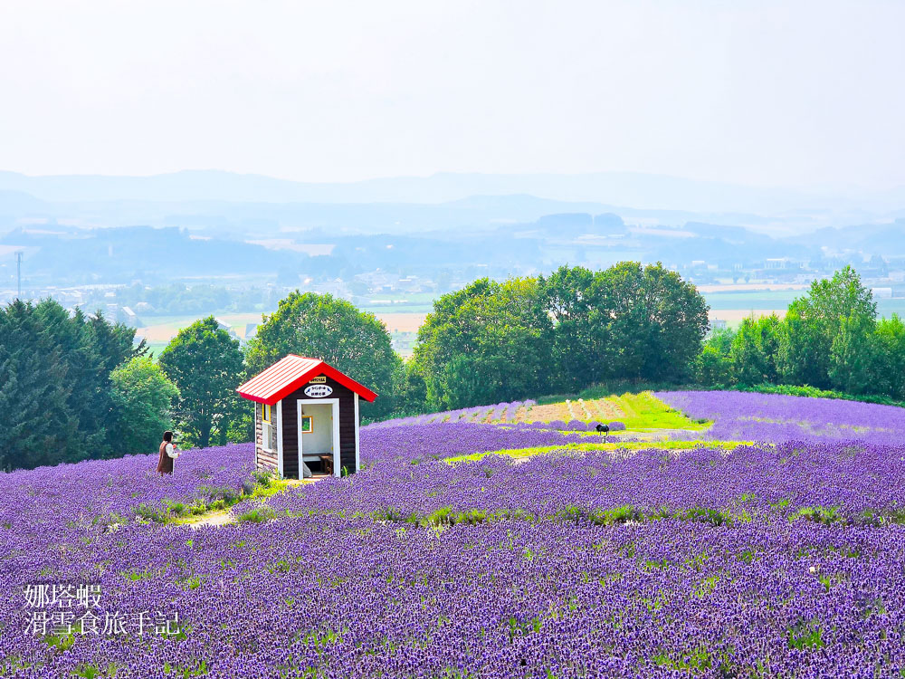 北海道富良野薰衣草&賞花5大景點整理_富田農場_日之出公園_北星山纜車_Flower Land_麓鄉展望台