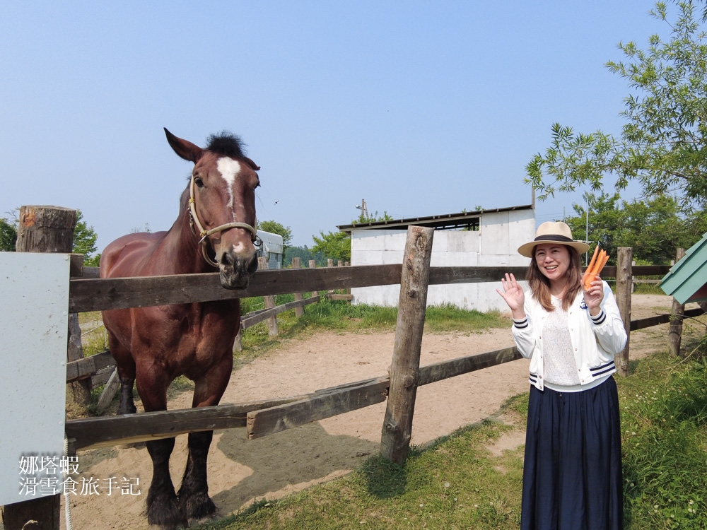 北海道十勝2天1夜小旅行超好玩_絕美庭園_美味甜點&麵包_享受溫泉飯店_馬車酒吧兜風