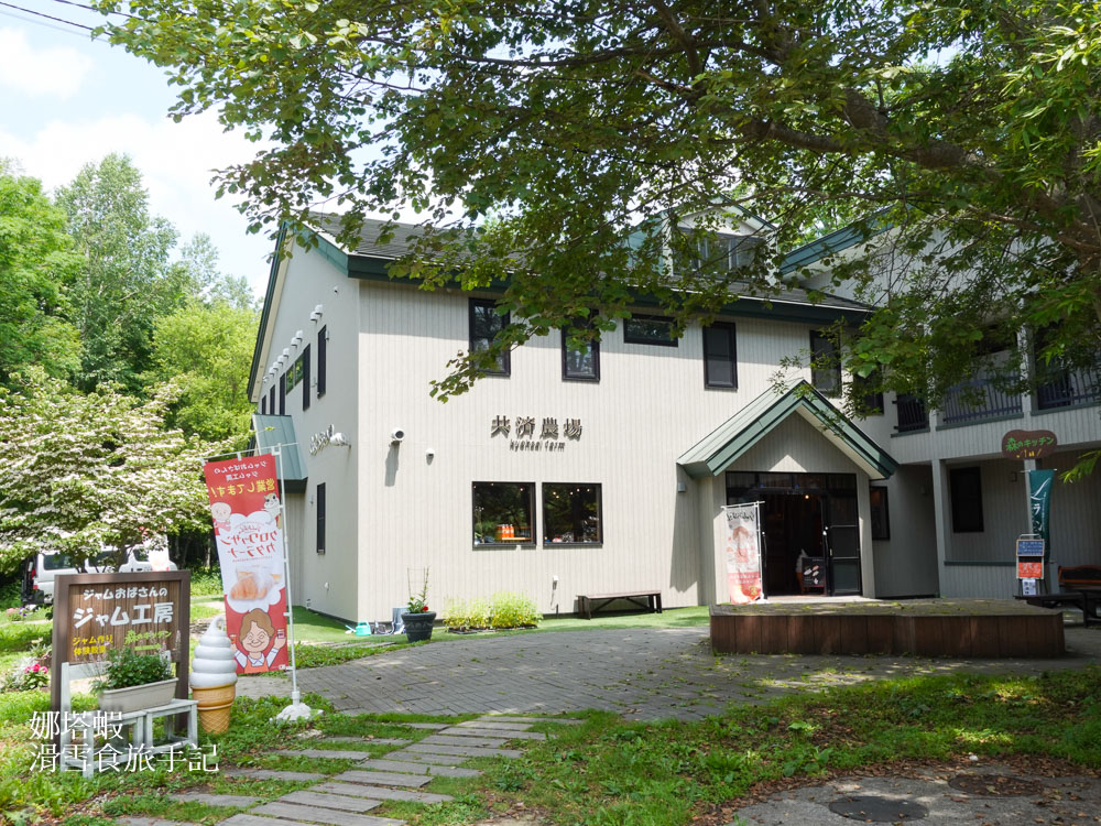 北海道富良野薰衣草&賞花5大景點整理_富田農場_日之出公園_北星山纜車_Flower Land_麓鄉展望台