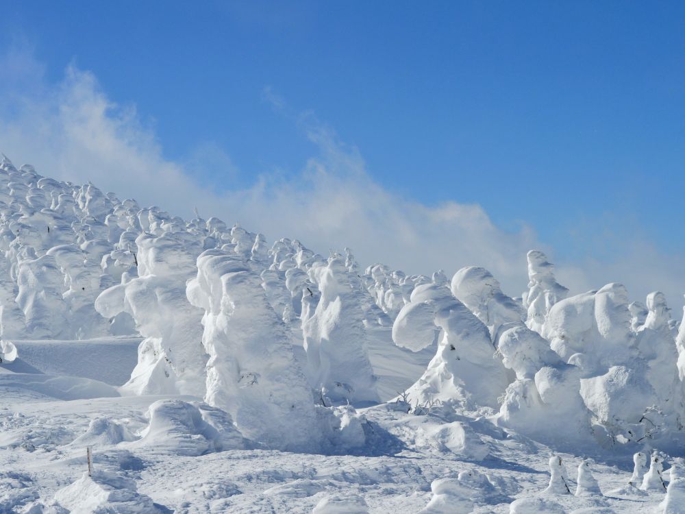 藏王滑雪場攻略2025|藏王樹冰一生必看奇景,開放時間、適合初學者嗎? - 第2張圖 藏王滑雪場攻略2024|藏王樹冰一生必看奇景,開放時間、適合初學者嗎?