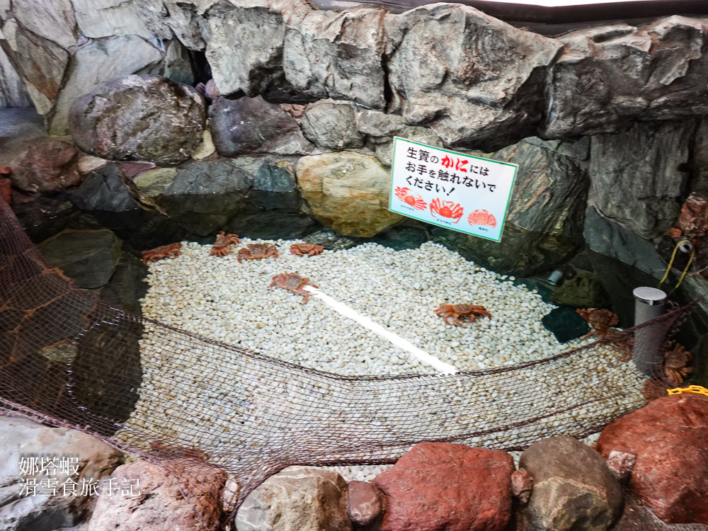 仙台美食不只牛舌_札幌螃蟹本家仙台店_盡情享受帝王蟹_雪蟹涮涮鍋_奶油煎蟹腳