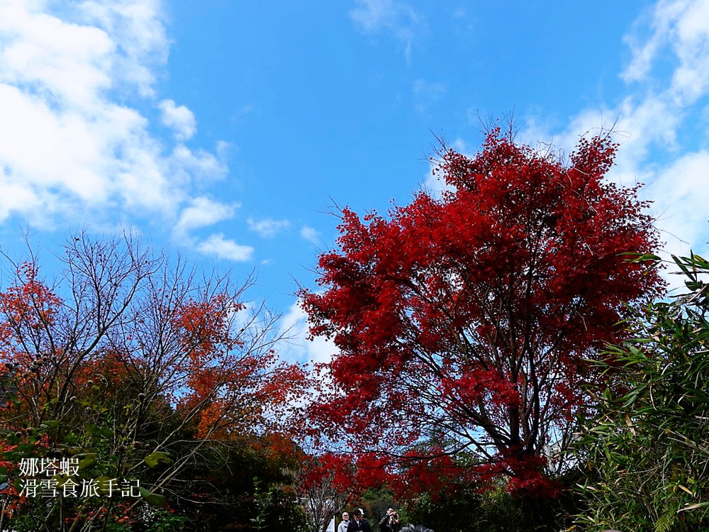 九州宮崎景點推薦_日本神話的故鄉_鵜戶神宮_青島神社_高千穗神社3大神社介紹
