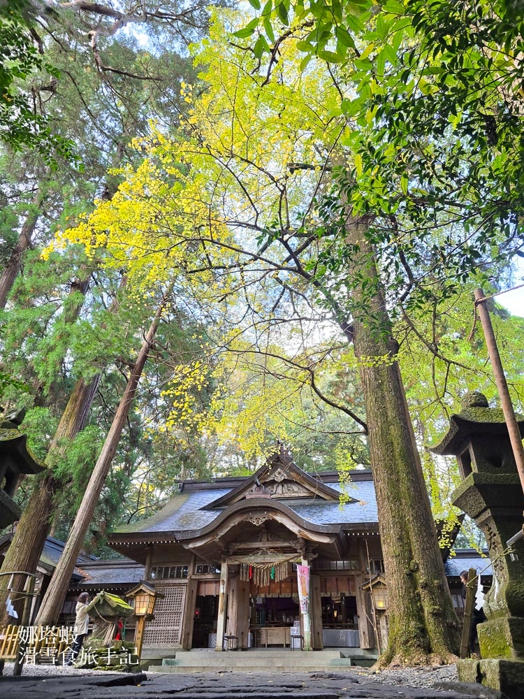 九州宮崎景點推薦_日本神話的故鄉_鵜戶神宮_青島神社_高千穗神社3大神社介紹