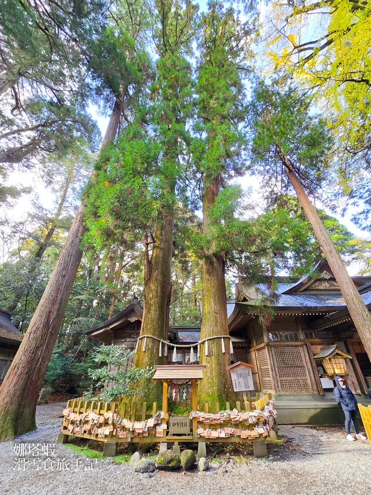 九州宮崎景點推薦_日本神話的故鄉_鵜戶神宮_青島神社_高千穗神社3大神社介紹