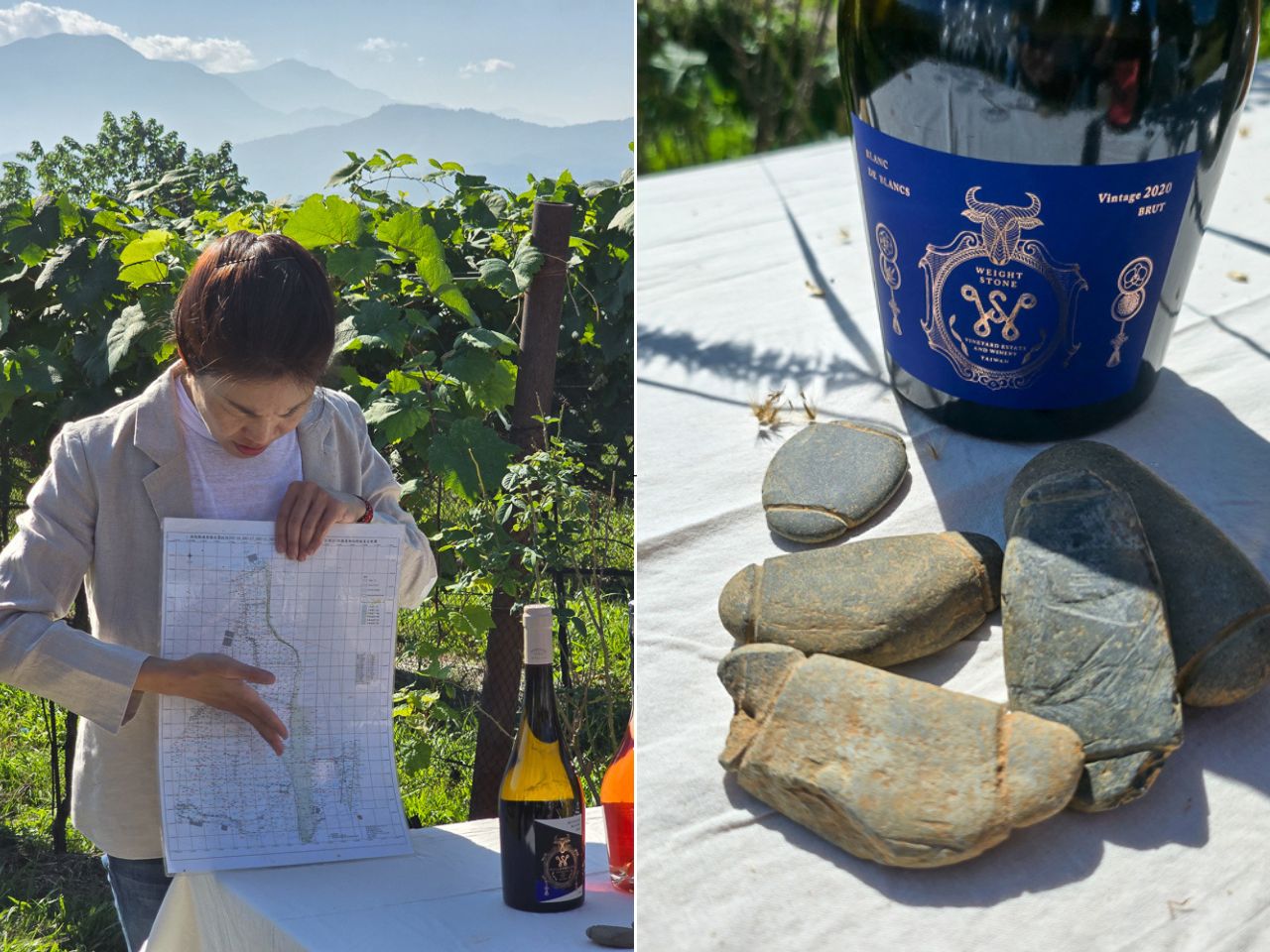 星宇航空X威石東酒莊，葡萄園中的品酒會，頭等艙&商務艙選酒介紹