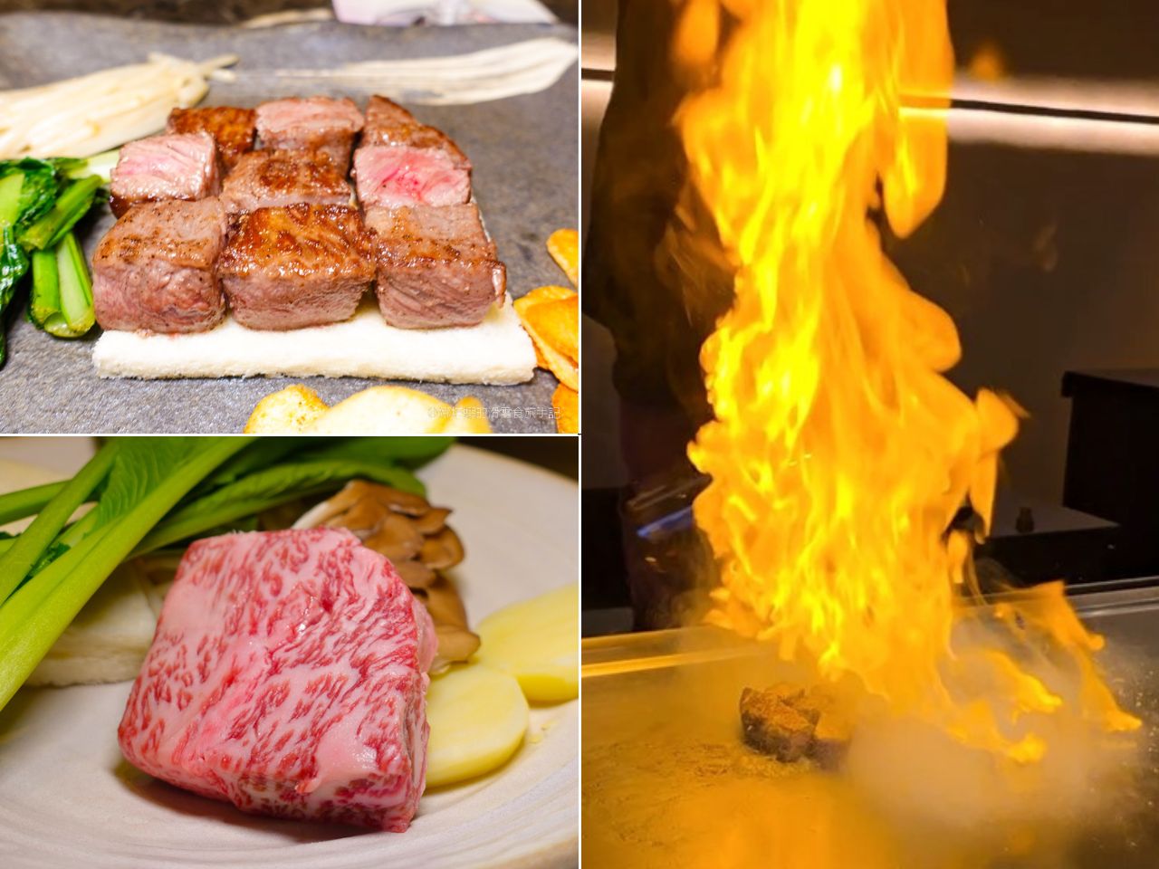 札幌美食_高級和牛鐵板燒_Steak & Wine Ishizaki_薄野站旁人氣餐廳