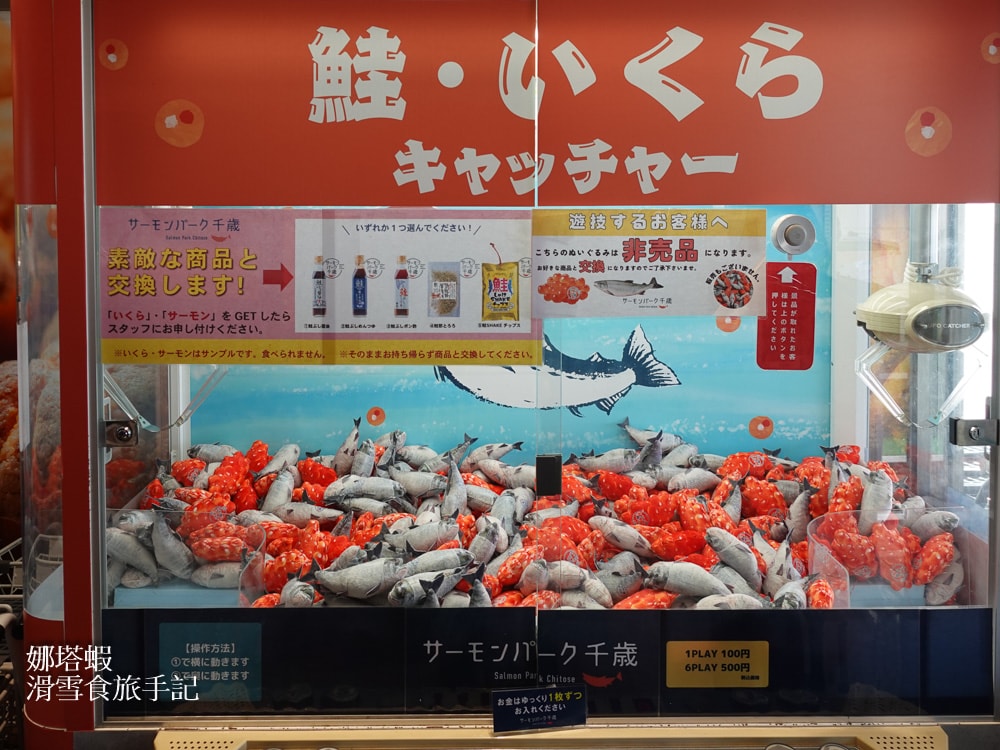 新千歲機場附近景點「千歲鮭魚公園」，水族館和道路休息站，好逛又好吃!