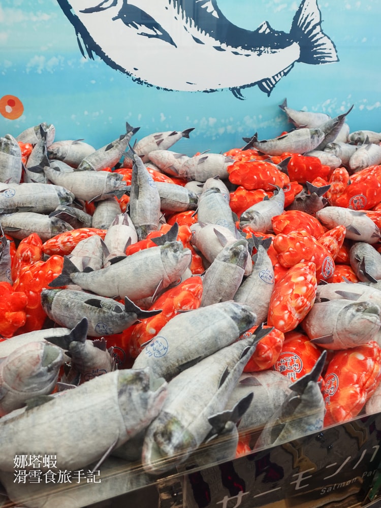 新千歲機場附近景點「千歲鮭魚公園」，水族館和道路休息站，好逛又好吃!