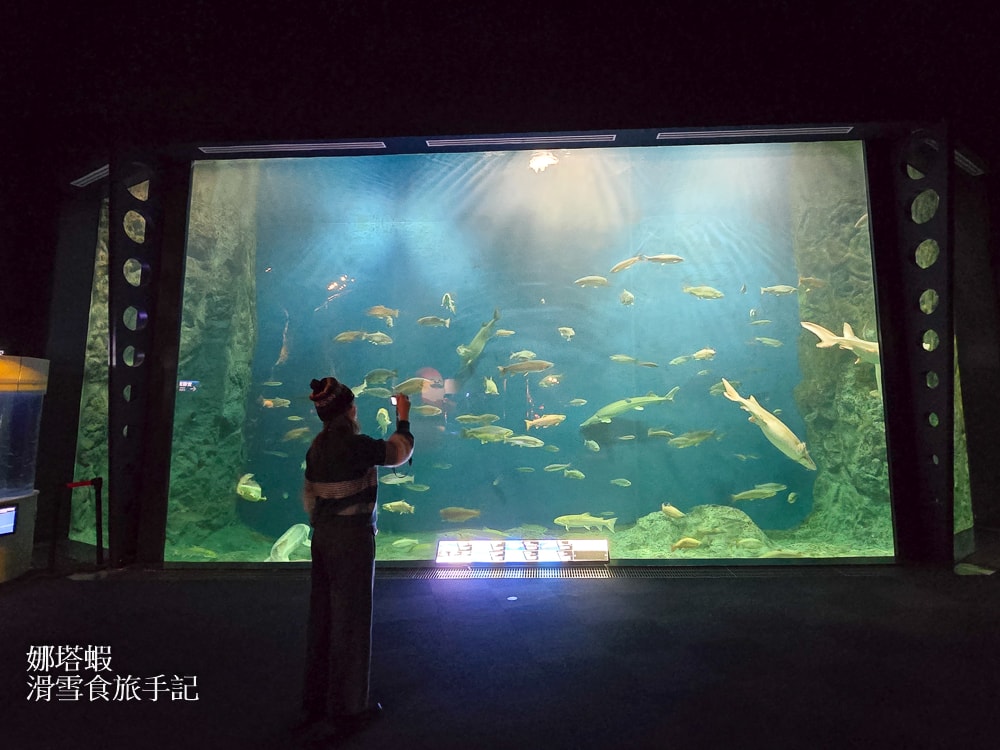 新千歲機場附近景點「千歲鮭魚公園」，水族館和道路休息站，好逛又好吃!