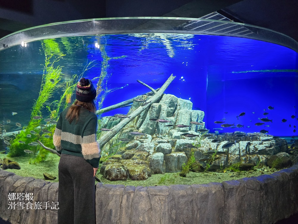 新千歲機場附近景點「千歲鮭魚公園」，水族館和道路休息站，好逛又好吃!