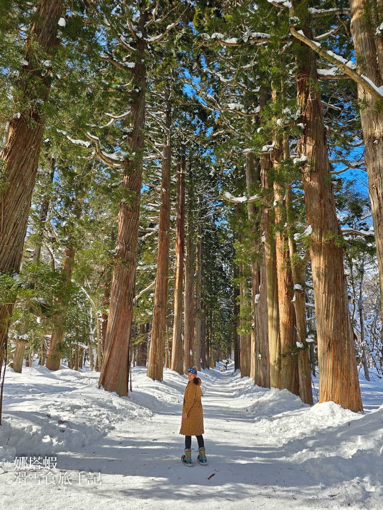 長野市必去景點推薦_千年歷史善光寺_戶隱神社百年杉木林道_森之站雪地帳篷享受美食