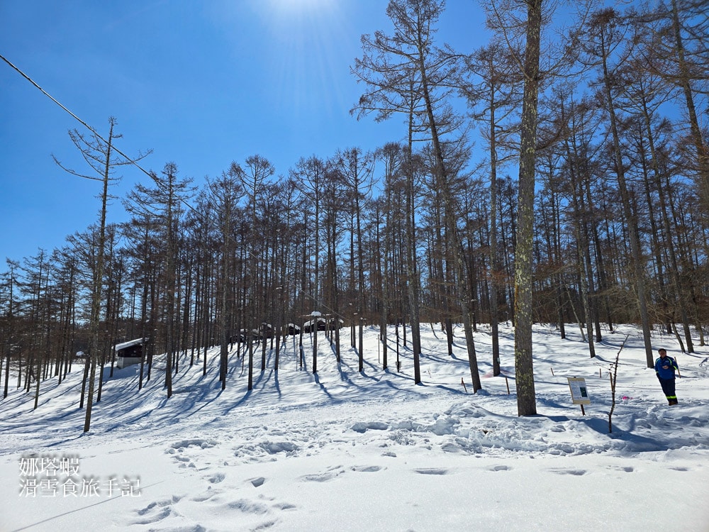 長野市必去景點推薦_千年歷史善光寺_戶隱神社百年杉木林道_Nagano forest village森之站雪地帳篷享受美食